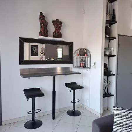 Avec Place De Parking Et Acces Piscine Privee アパート