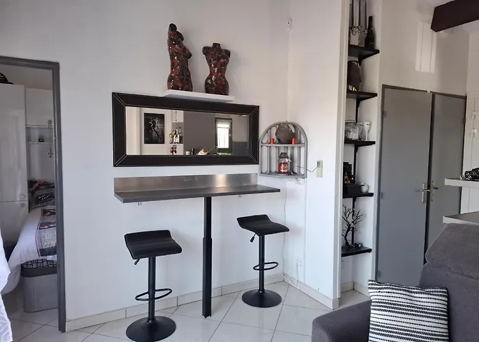 Avec Place De Parking Et Acces Piscine Privee アパート