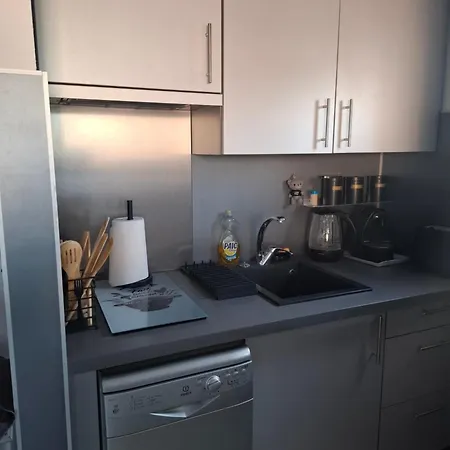 公寓 Avec Place De Parking Et Acces Piscine Privee 阿格德