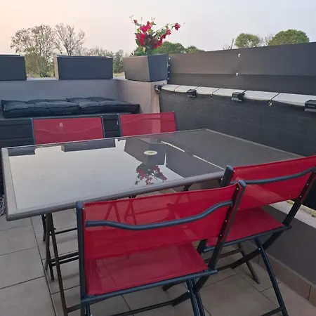 Avec Place De Parking Et Acces Piscine Privee 公寓 阿格德