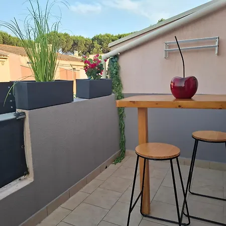 Avec Place De Parking Et Acces Piscine Privee * 阿格德