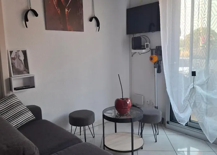 Avec Place De Parking Et Acces Piscine Privee Агд